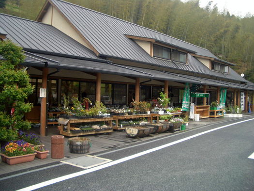 旅に行ってきました。