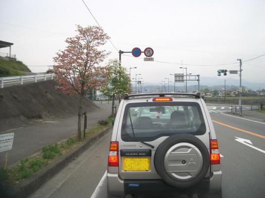 草千里から日田市、そして福岡へ