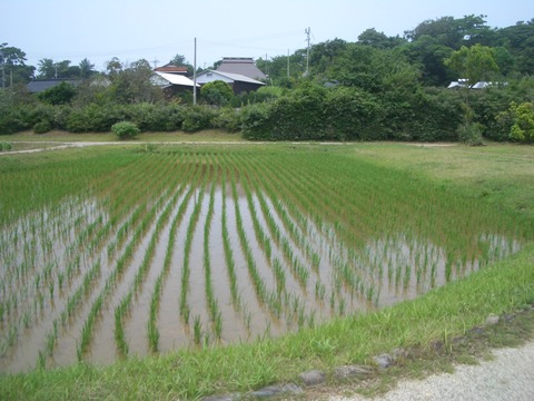 土井ヶ浜遺跡・人類学ミュージアムへ