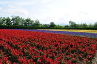 北海道キャンプ旅行2011（８／７） 2011/09/07 20:18:20