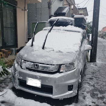 季節外れの雪です。