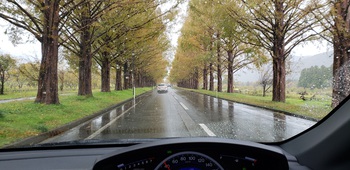 今年最後の車中泊の旅②