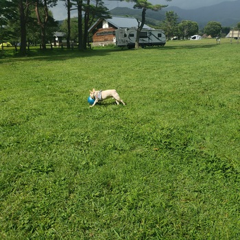 吹上高原でまったり涼しいキャンプが楽しめました。