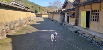 今年最後の車中泊の旅②