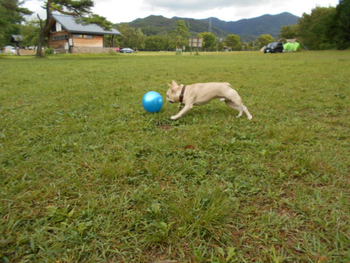 夏休みー後半はキャンプ