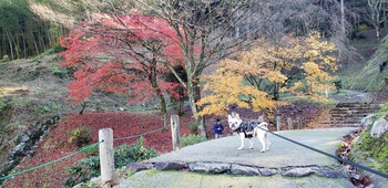 今年最後の車中泊の旅②