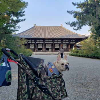 奈良をフレブルMAXと車中泊で巡りました。①