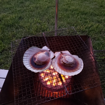 夏のキャンプ地は海か山か！