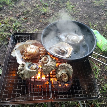 夏のキャンプ地は海か山か！