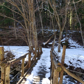 道志の森で雪中キャンプ気分！