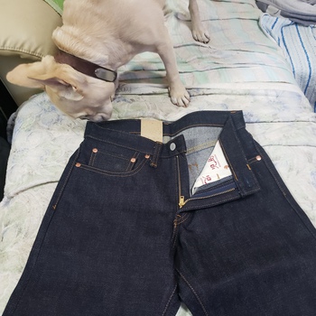 軟弱なJEANSよ去らば！今度はGENESだ。