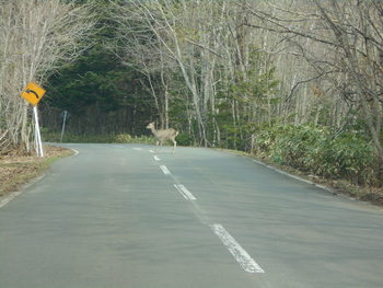 GW北海道④.