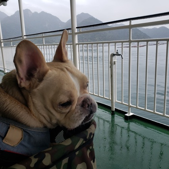 車中泊で広島へ！②宮島