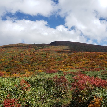 栗駒山縦走