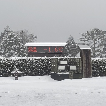 こんなご時世ですが、旅へ。②高野山ー南紀白浜