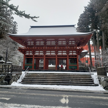 こんなご時世ですが、旅へ。②高野山ー南紀白浜