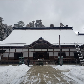 こんなご時世ですが、旅へ。②高野山ー南紀白浜