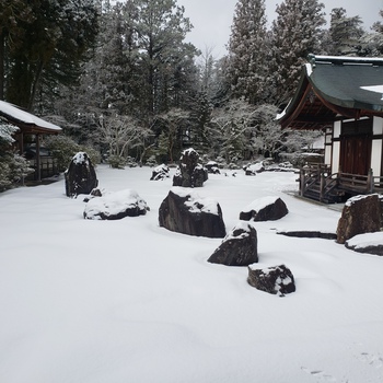 こんなご時世ですが、旅へ。②高野山ー南紀白浜