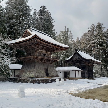 こんなご時世ですが、旅へ。②高野山ー南紀白浜