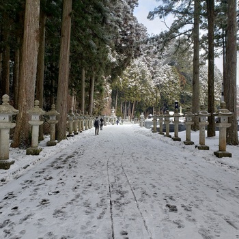 こんなご時世ですが、旅へ。②高野山ー南紀白浜