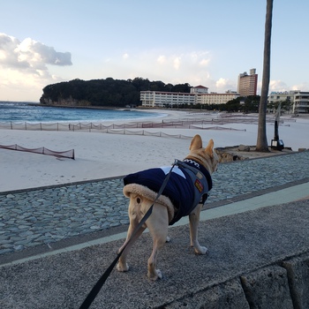 こんなご時世ですが、旅へ。②高野山ー南紀白浜