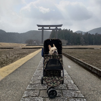 こんなご時世ですが、旅へ。③熊野本宮ー鳥羽