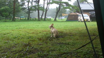 吹上高原は雨雨雨でした。