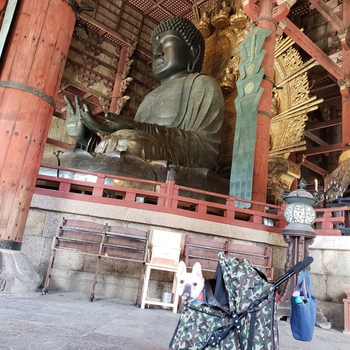 今日は東大寺から！