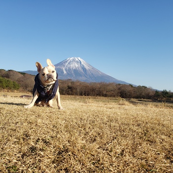 いつもの場所に 設営完了！