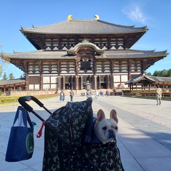 今日は東大寺から！