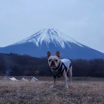 今年最後のキャンプは朝霧ジャンボリー！