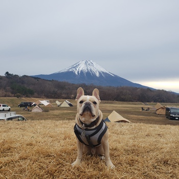 今年最後のキャンプは朝霧ジャンボリー！