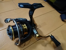 ダイワのLTシリーズ買ったよ