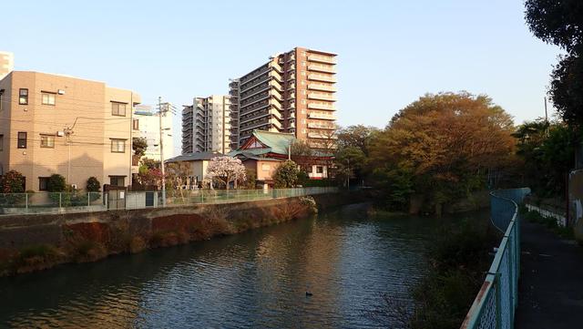 宝光院～対岸より～