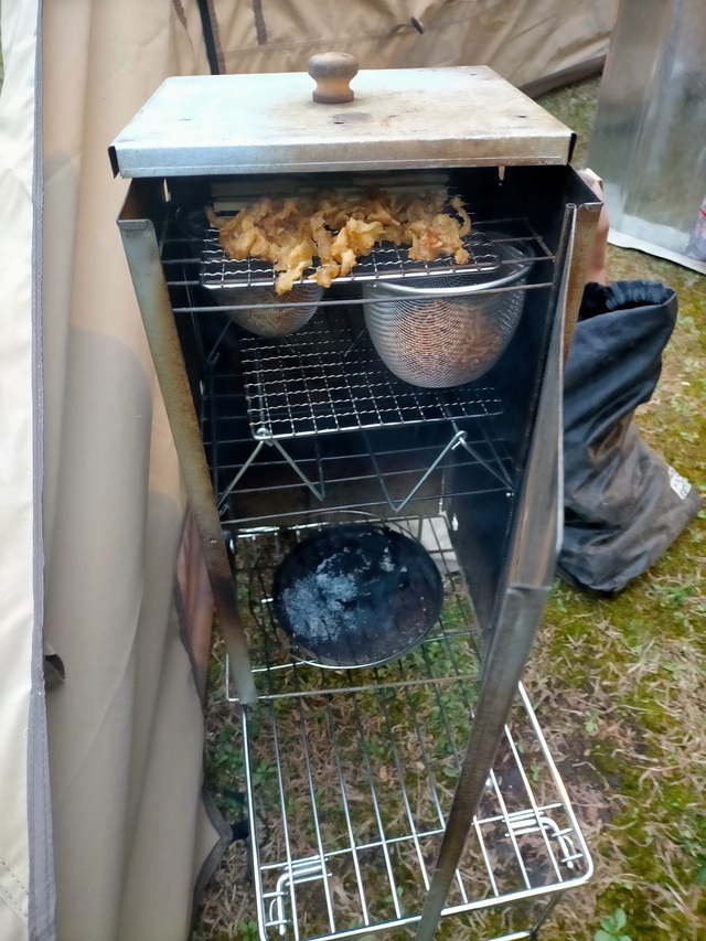 春キャンプ