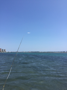 浜名湖！2016-32 2016/08/09 22:34:49