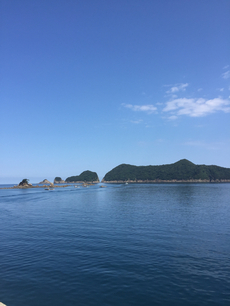 柳の下のナントカ2016-30 2016/08/01 10:27:01
