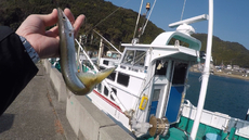 今年の1尾目！ 2018/01/22 07:49:33