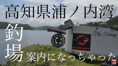 高知県浦ノ内湾チヌ狙い 2023/05/08 08:31:14