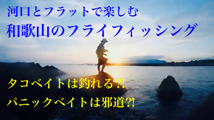 フラットチヌとヒラセイゴ。フライフィッシング！