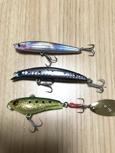 トップ楽しすぎ