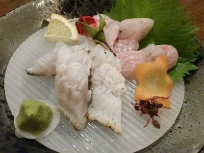 アルちゅの、ちょいと一杯！（488）　穴子・活魚料理 「でん助」