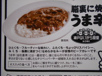 脳裏に焼きつく！うま辛カレー