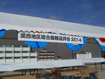 それでも恋はコイ？　関西地区総合錦鯉品評会2014