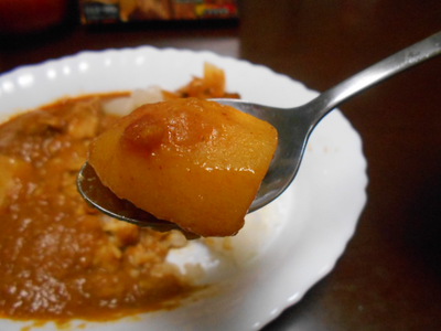 ゲイロード・チキンカレー
