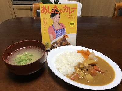 もんこ先生！ホンマでっか？？？ ヽ(´Д`；)ﾉ　あしたのカレー
