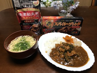 やっぱりコレがええねん！ ヾ(*´∀｀*)ﾉ　海老とゴーヤの夏カレー