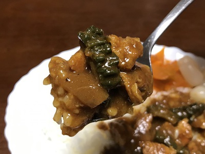 やっぱりコレがええねん！ ヾ(*´∀｀*)ﾉ　海老とゴーヤの夏カレー