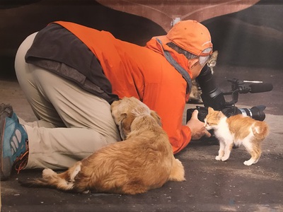 あなたはどっち派？　ねこといぬ・岩合光昭写真展
