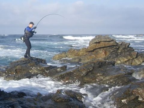 なかなかの釣れっぷり！